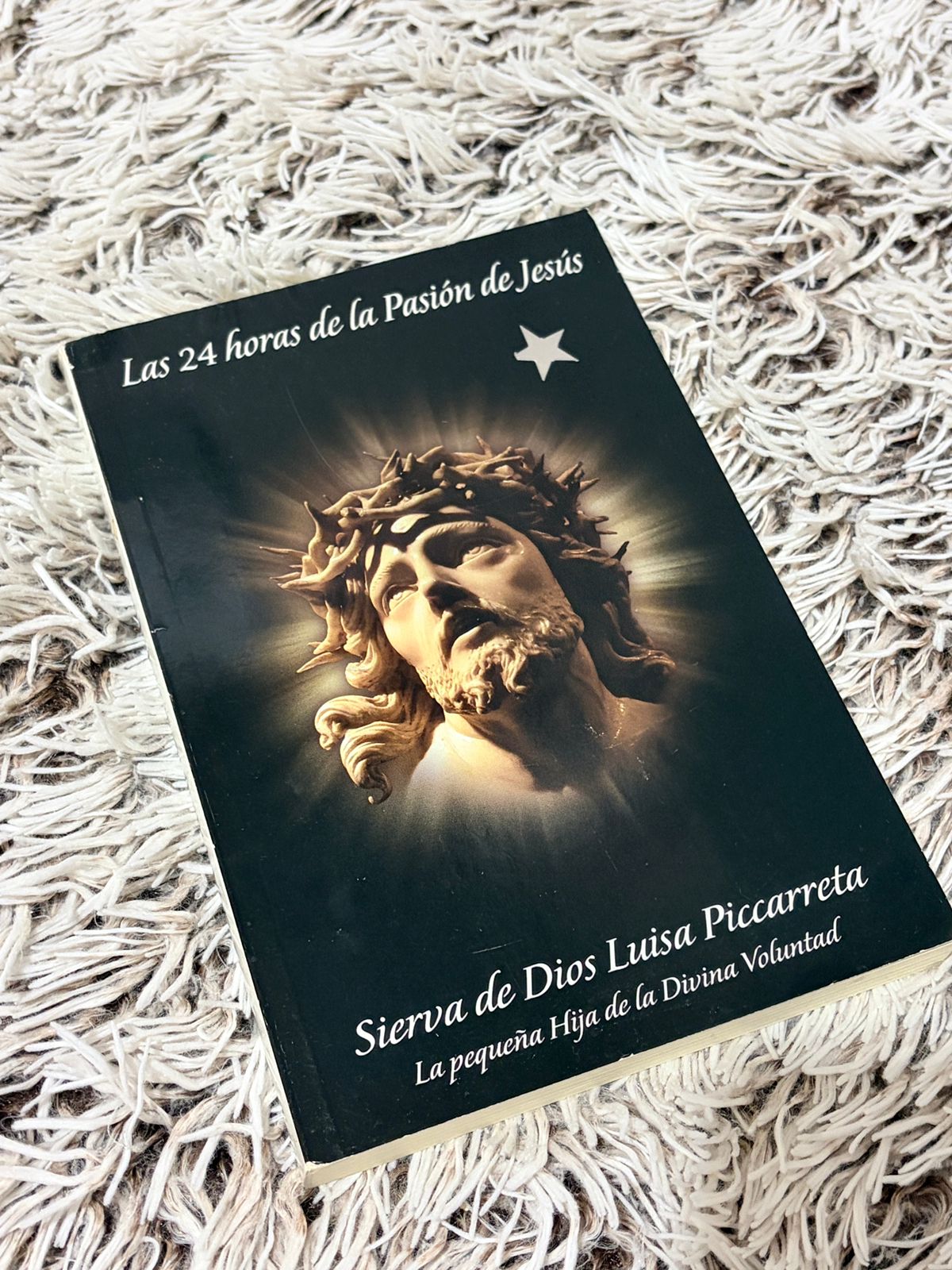 Las 24 horas de la pasión de Jésus