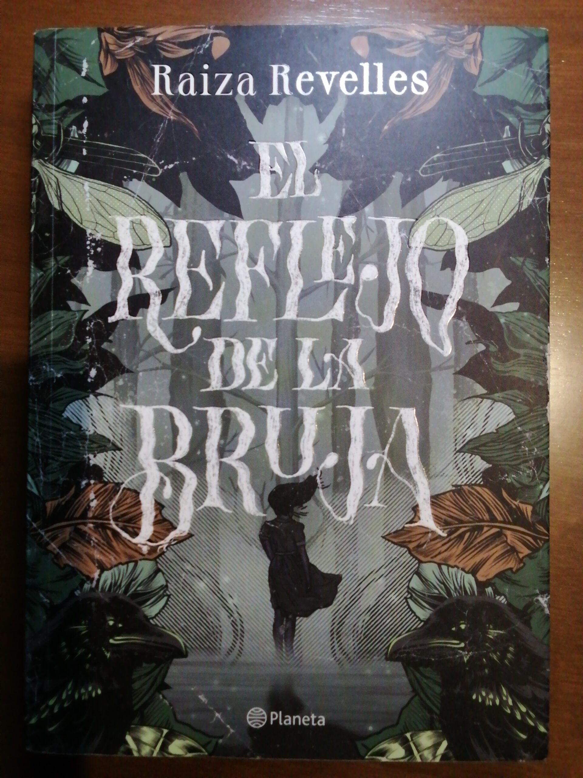 El reflejo de la bruja